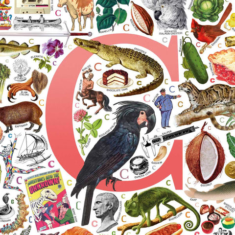 C is for Curious - a poster with English C words