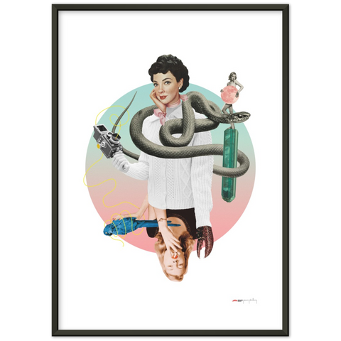 Norwegian Blue - a collage poster