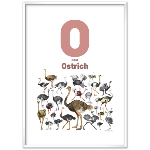 O is for Ostrich - an English letter poster