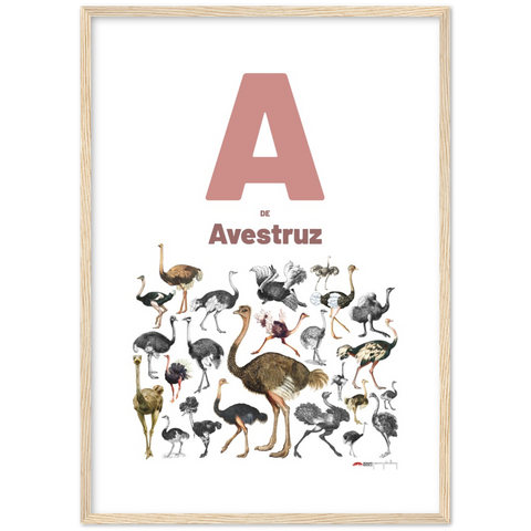 A de Avestruz - a Portuguese letter poster