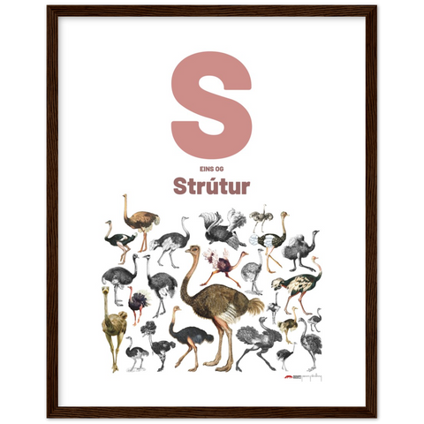 S eins og Strútur - an Icelandic letter poster