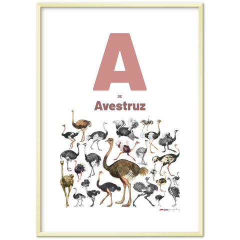A de Avestruz - a Spanish letter poster