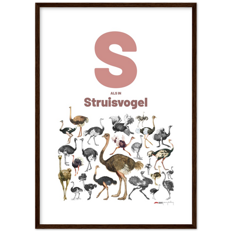 S als Struisvogel - a Dutch letter poster