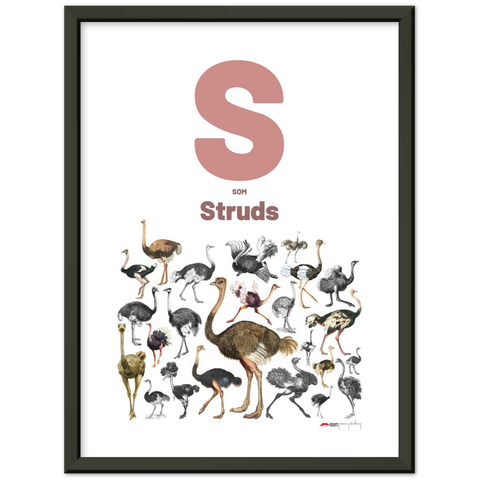 S som Struds - a Danish letter poster