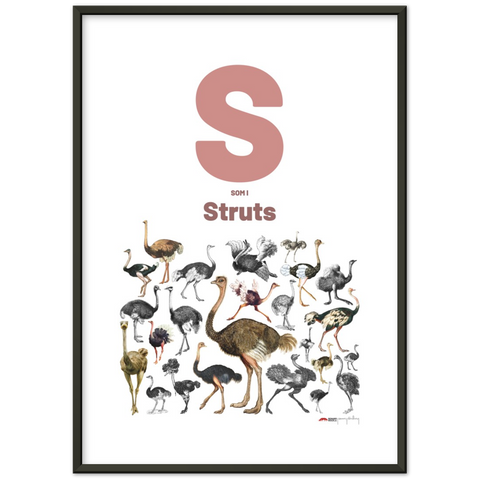 S som i Struts - a Norwegian letter poster