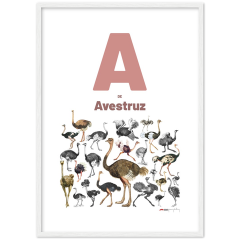 A de Avestruz - a Spanish letter poster