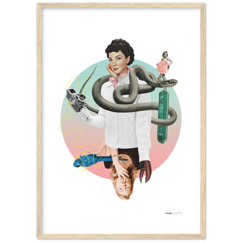 Norwegian Blue - a collage poster