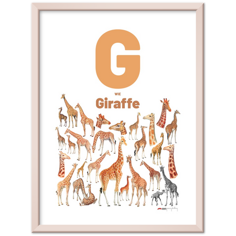 G wie Giraffe - a German letter poster
