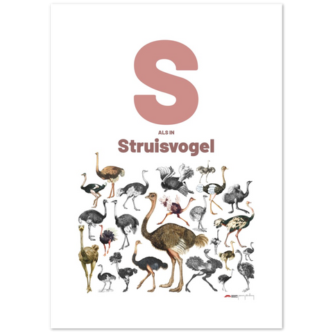 S als Struisvogel - a Dutch letter poster