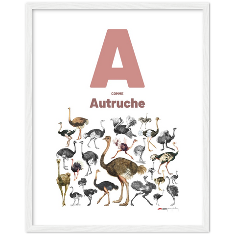 A comme Autruche - a French letter poster