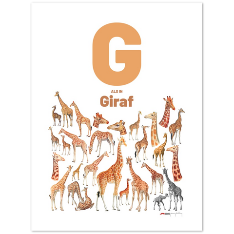 G als in Giraf - a Dutch letter poster