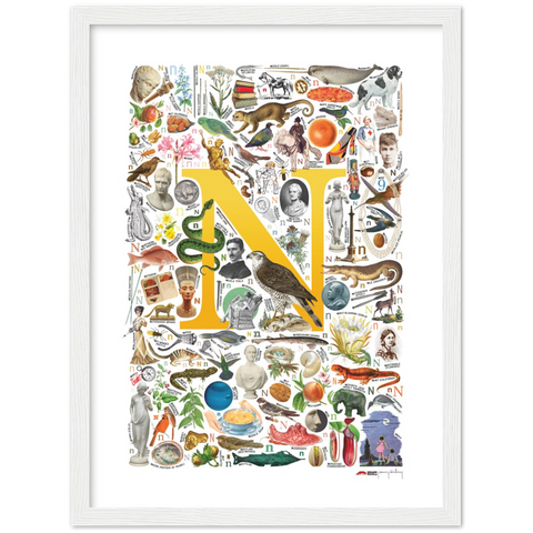 N is for Nature - a poster with English N words
