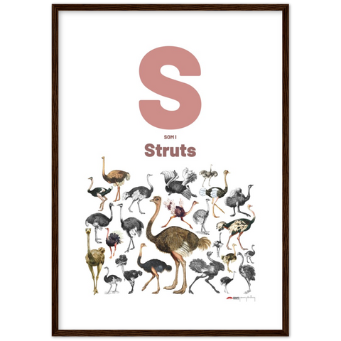 S som i Struts - a Swedish letter poster