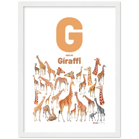 G eins og Gíraffi - an Icelandic letter poster