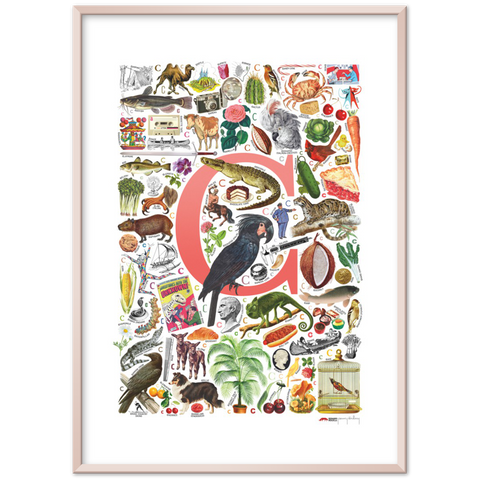 C is for Curious - a poster with English C words