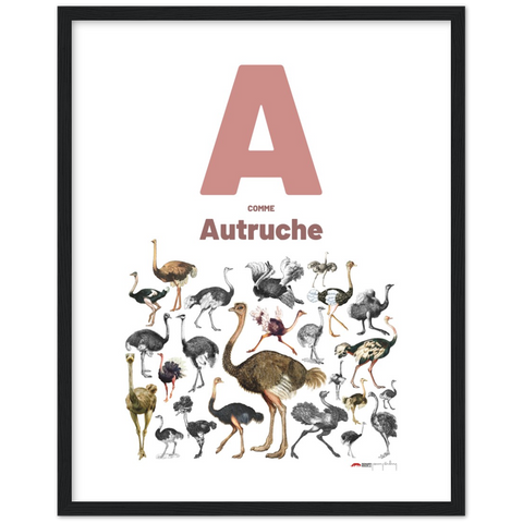 A comme Autruche - a French letter poster