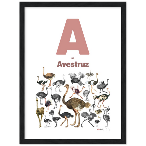 A de Avestruz - a Portuguese letter poster