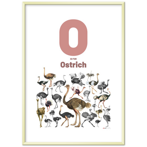 O is for Ostrich - an English letter poster