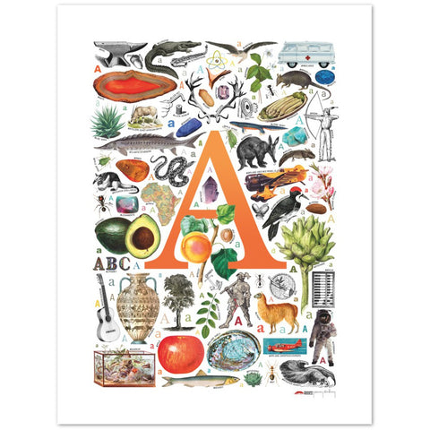 A is for Adventure - a poster with English A words