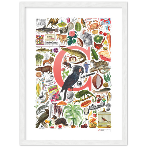 C is for Curious - a poster with English C words