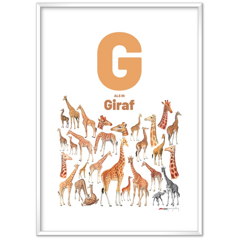 G als in Giraf - a Dutch letter poster