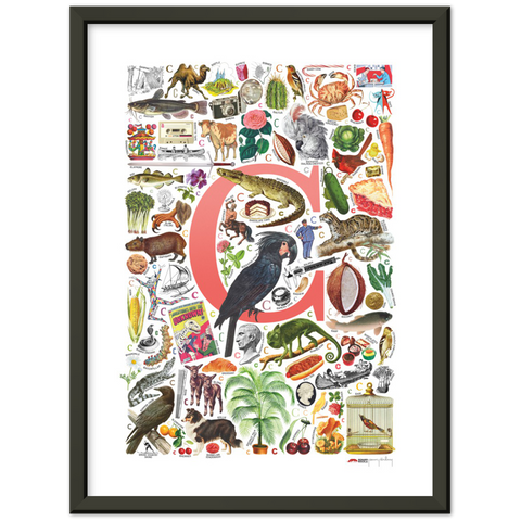 C is for Curious - a poster with English C words