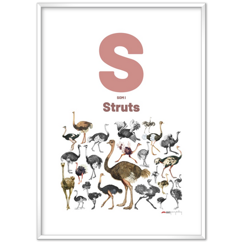 S som i Struts - a Norwegian letter poster