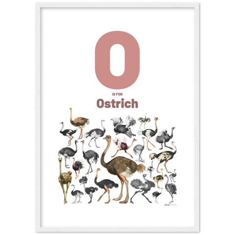 O is for Ostrich - an English letter poster