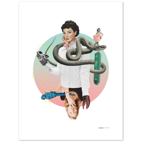 Norwegian Blue - a collage poster