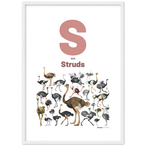 S som Struds - a Danish letter poster