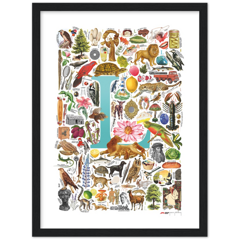 L is for Learning - a poster with English L words