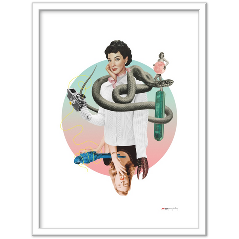 Norwegian Blue - a collage poster