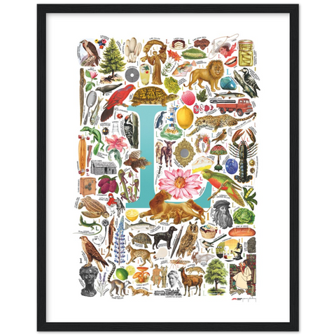L is for Learning - a poster with English L words