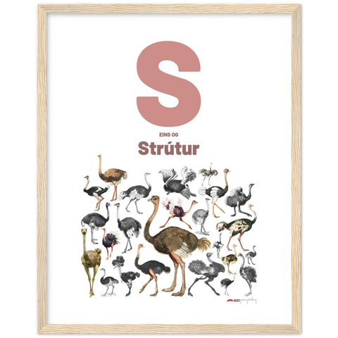 S eins og Strútur - an Icelandic letter poster