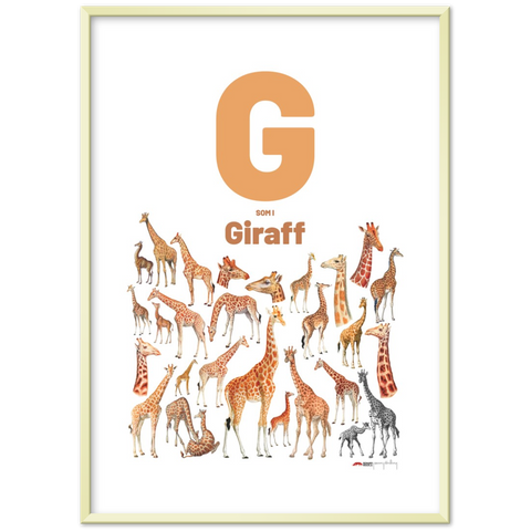 G som i Giraff - a Swedish letter poster