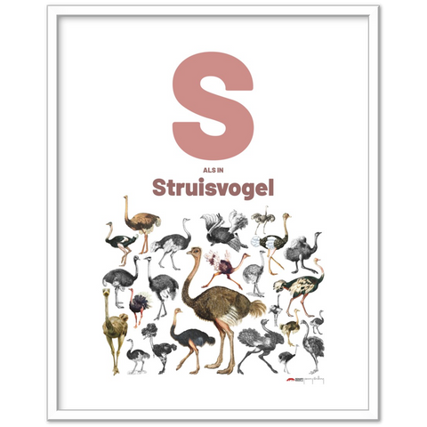 S als Struisvogel - a Dutch letter poster