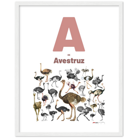 A de Avestruz - a Portuguese letter poster