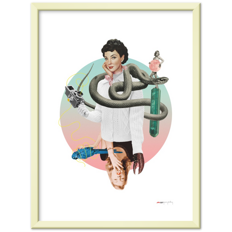 Norwegian Blue - a collage poster