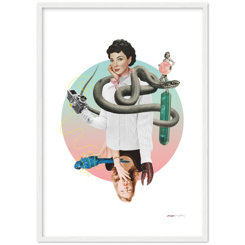 Norwegian Blue - a collage poster