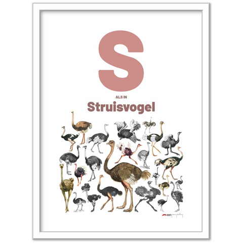 S als Struisvogel - a Dutch letter poster