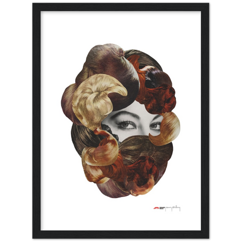 Hairy Allure - a fancy coiffure poster