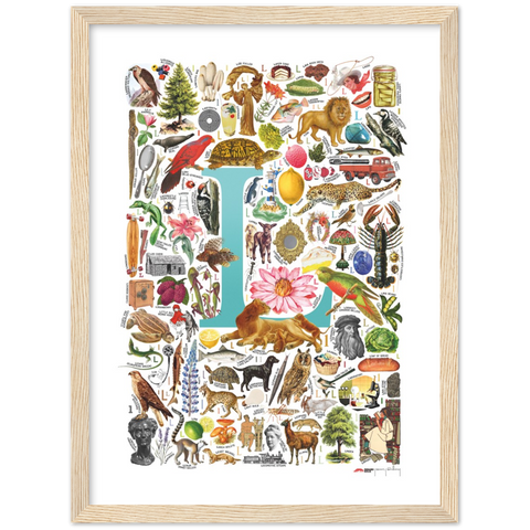 L is for Learning - a poster with English L words