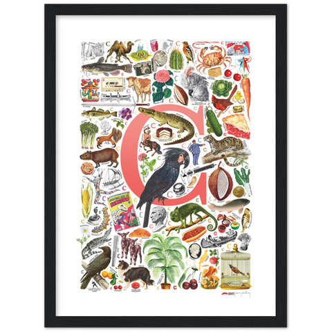 C is for Curious - a poster with English C words