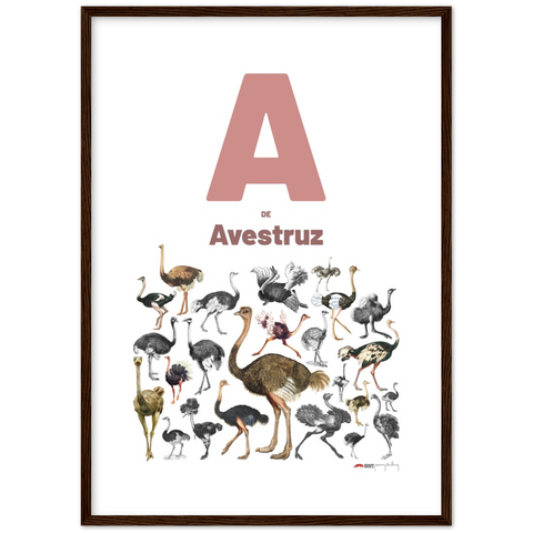 A de Avestruz - a Portuguese letter poster