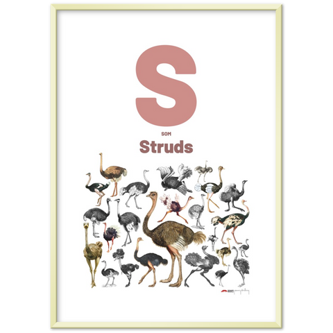 S som Struds - a Danish letter poster