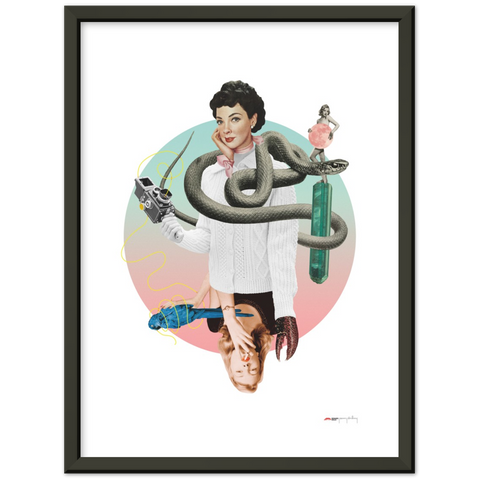 Norwegian Blue - a collage poster