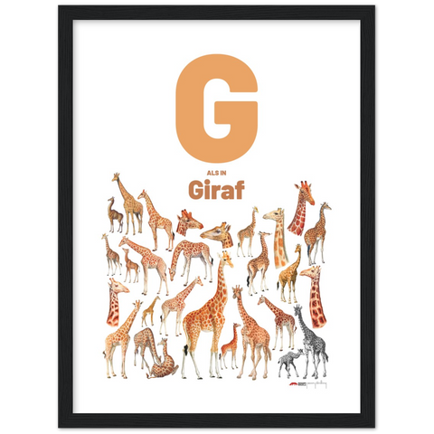 G als in Giraf - a Dutch letter poster