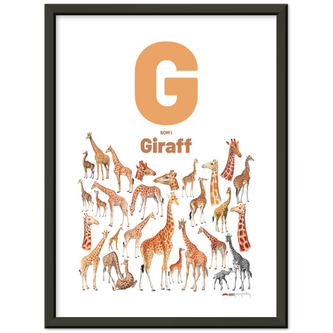 G som i Giraff - a Norwegian letter poste