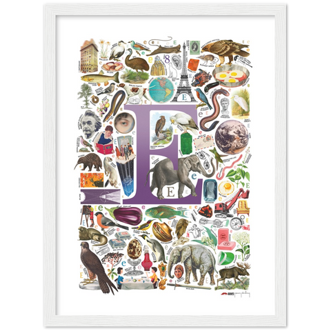 E is for Explore - a poster with English E words