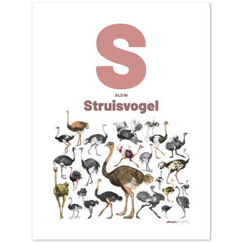 S als Struisvogel - a Dutch letter poster